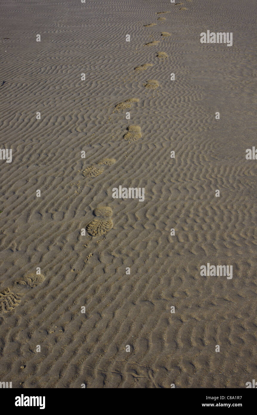 Boot prints in the sand of a tidal creek, Cymyran, Anglesey, Wales, UK Stock Photo