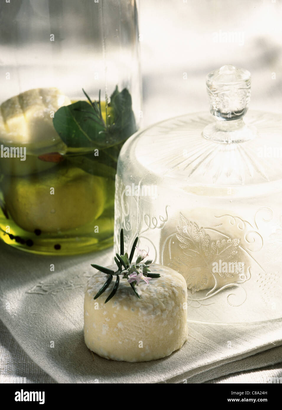 Goat's cheese marinated in olive oil Stock Photo Alamy