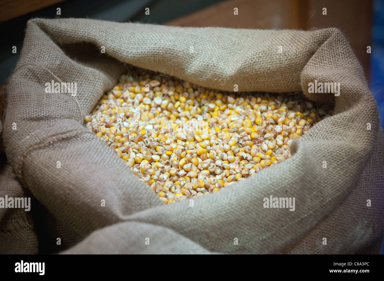 Maize in a sack Stock Photo Alamy