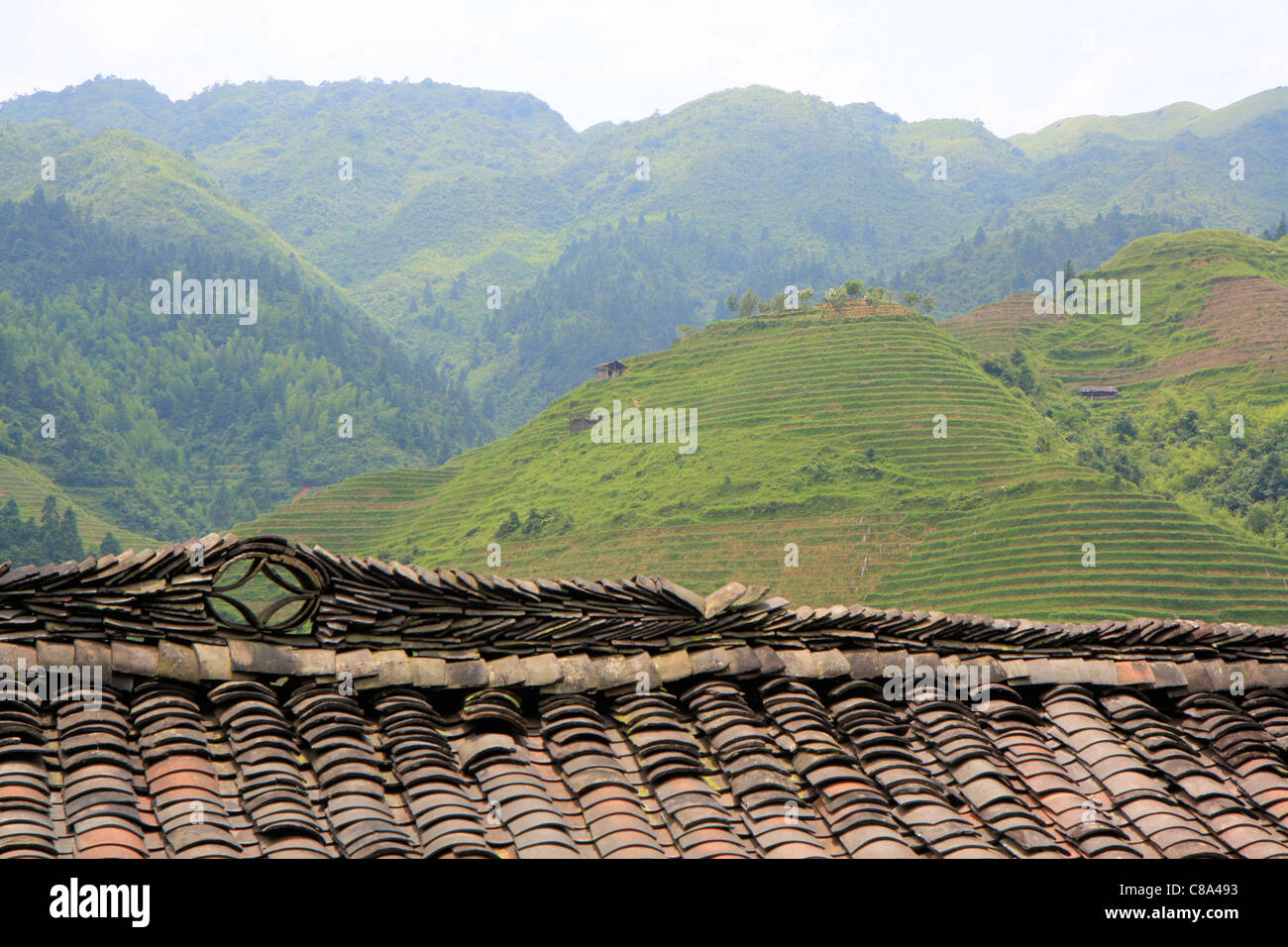 Terraced rice fields wiew from a roof, ping'an, Guanxi, China Stock Photo