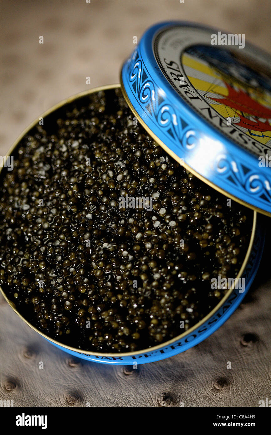Can of Ossetra Imperial caviar Stock Photo