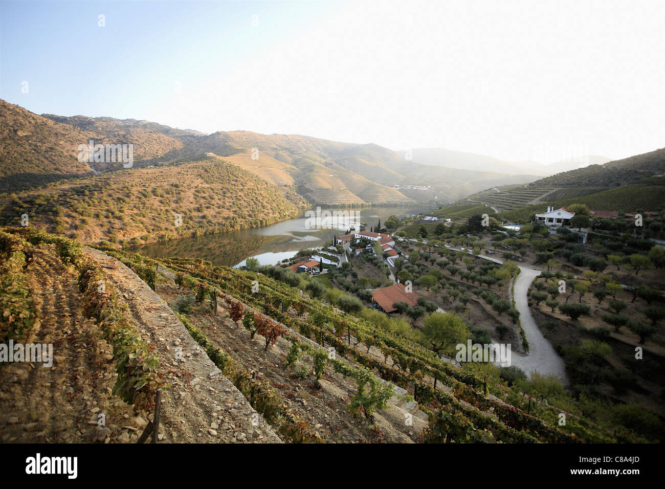 The Douro valley in Portugal Stock Photo