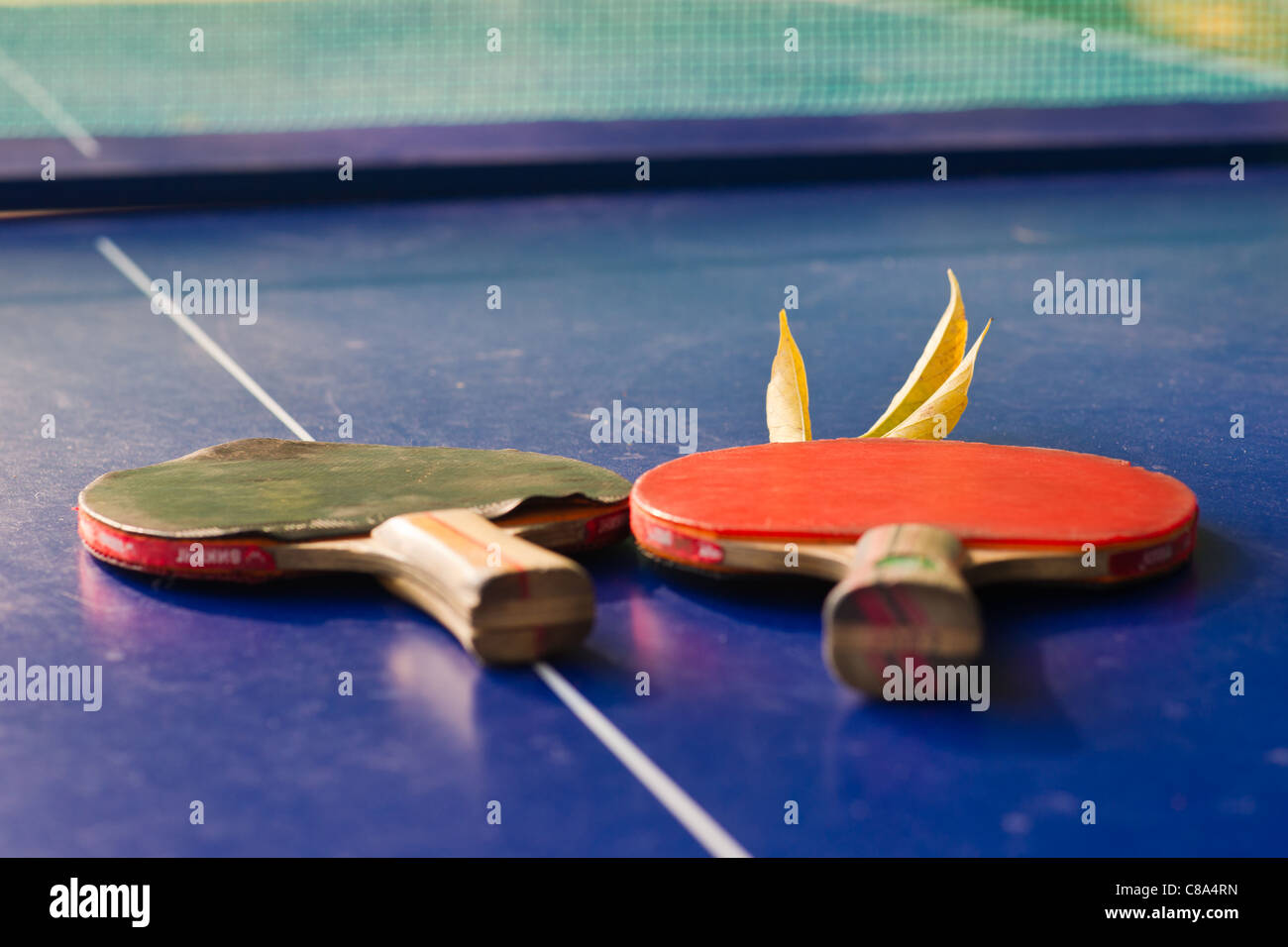 Two ping-pong bats, the red one and the black one,  on a blue tennis table and a yellow autumn leaf. Net in the background Stock Photo