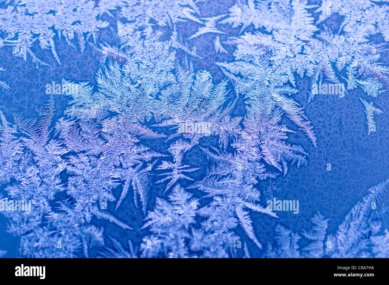 Ice flowers on a window Stock Photo Alamy