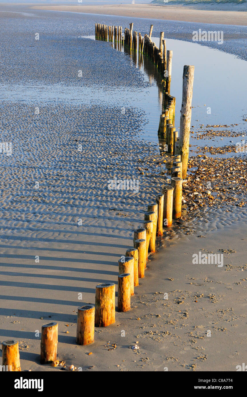 Patterns and reflections of wooden groynes West Wittering's sandy beach at low tide, Nr