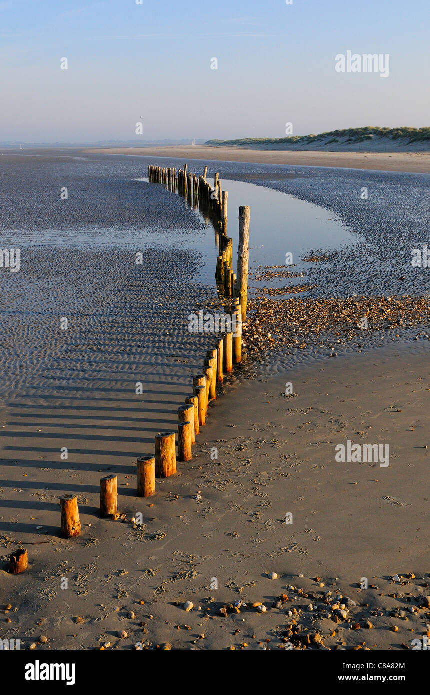 Patterns and reflections of wooden groynes West Wittering's sandy beach at low tide, Nr