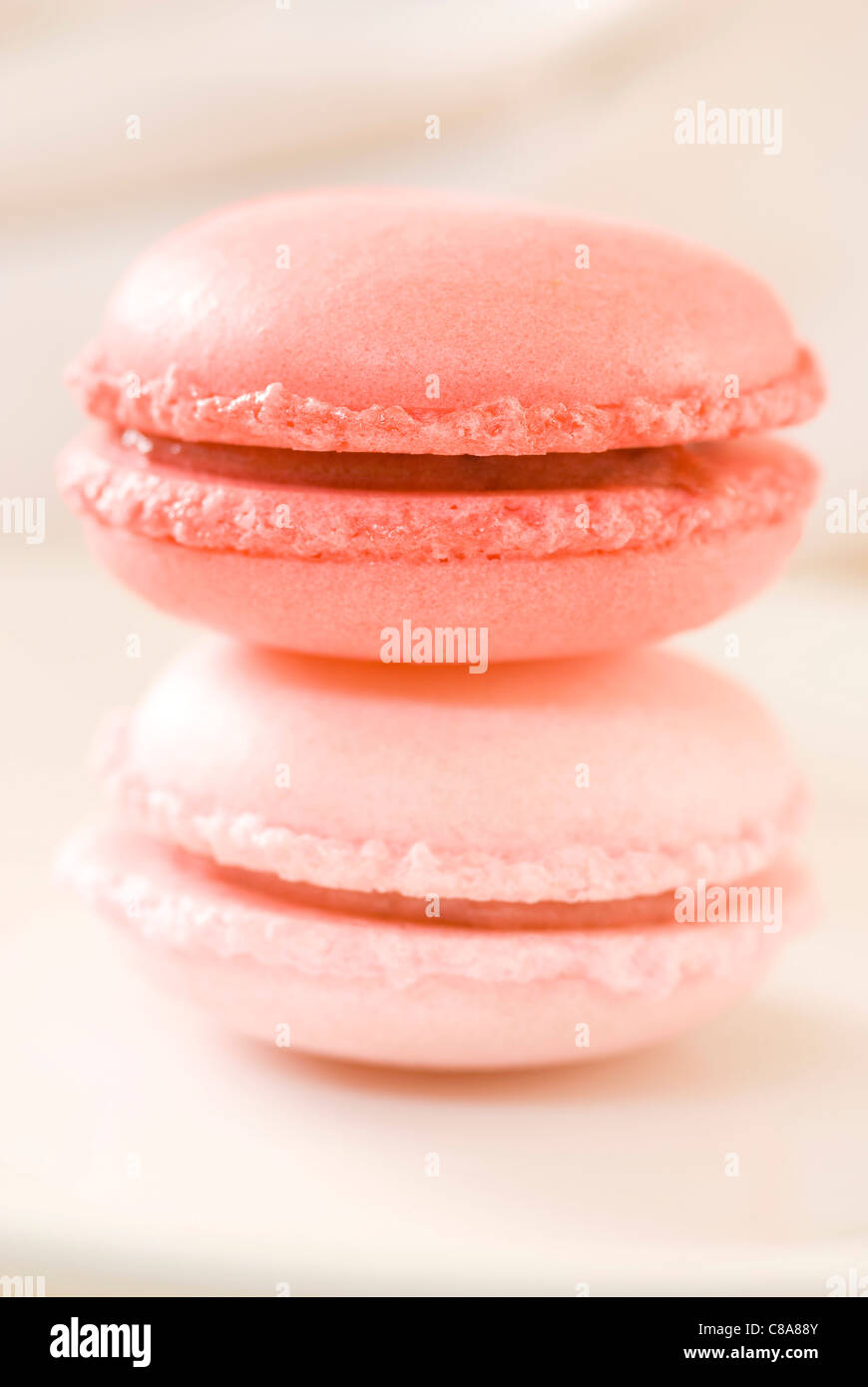 Two rose-flavored macaroons Stock Photo