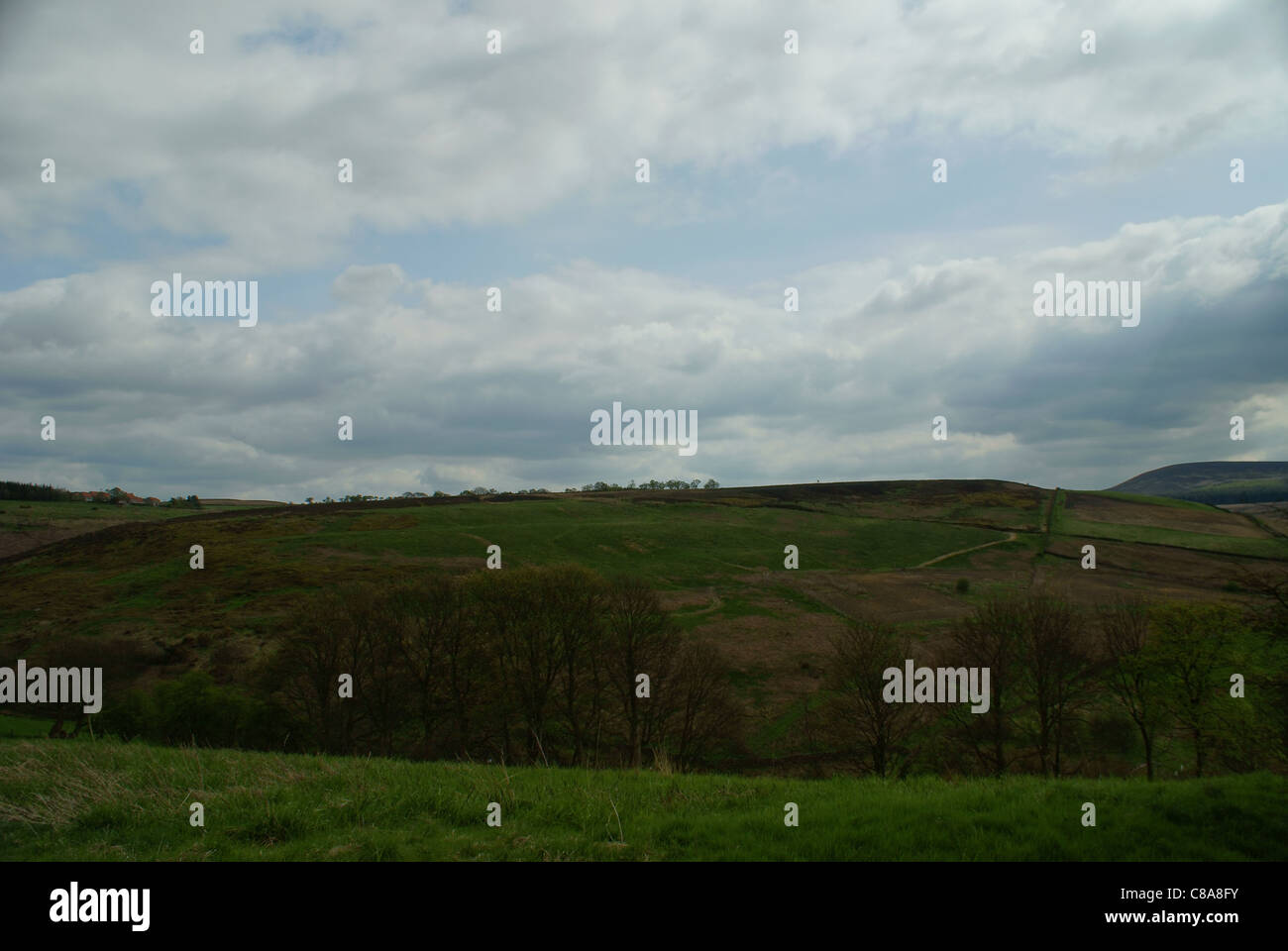 The Yorkshire Moors Stock Photo Alamy