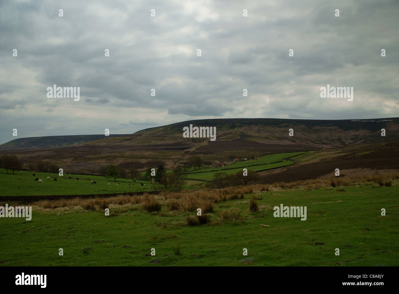 The Yorkshire Moors Stock Photo Alamy