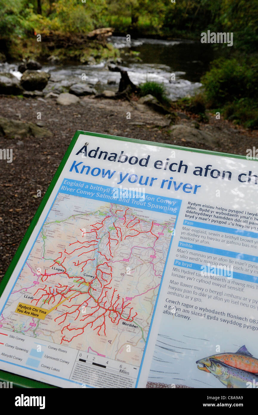 know your river information sign betws-y-coed wales uk Stock Photo