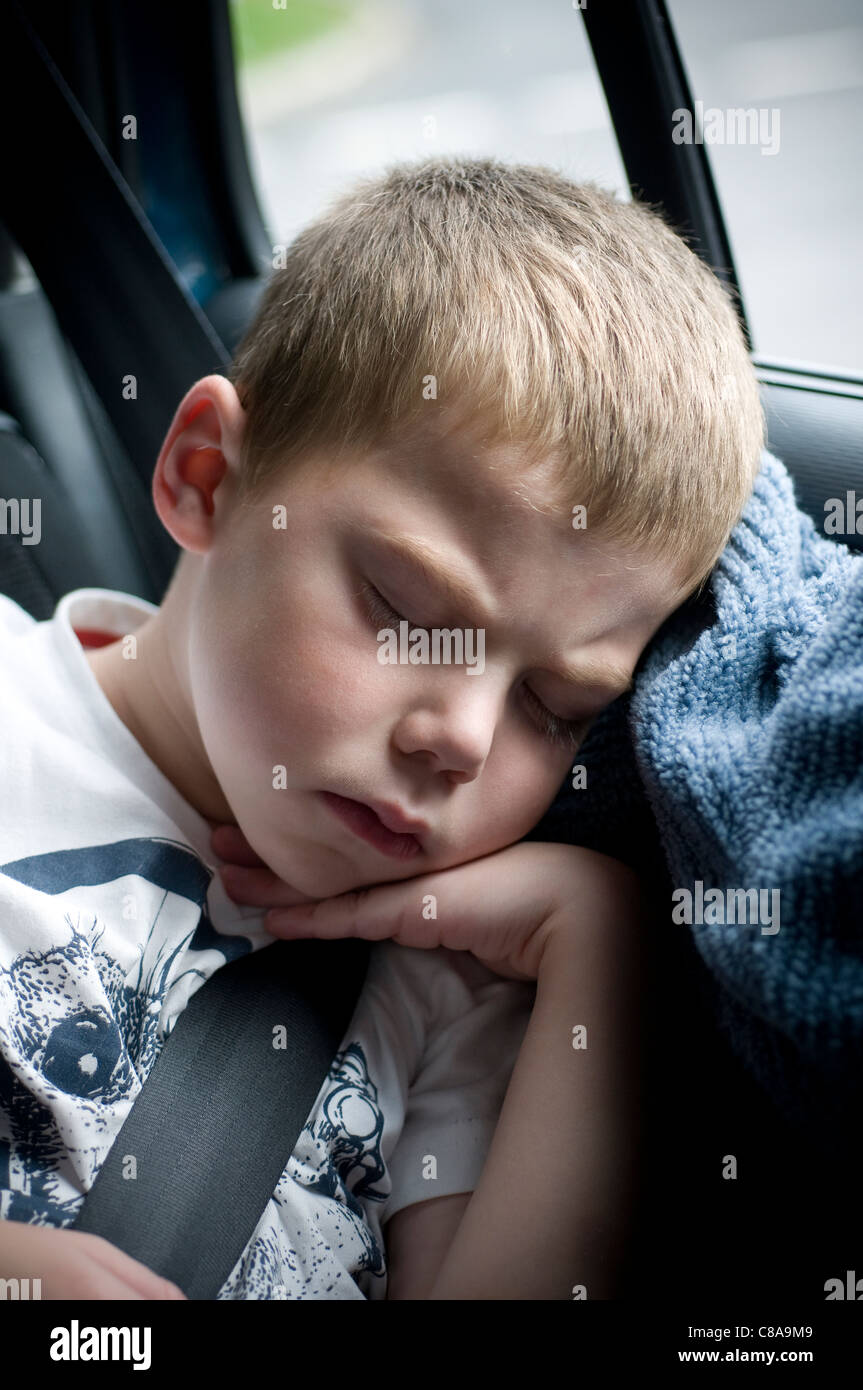 boy sleeping in car,adorable, automobile, baby, boy, car, child Stock