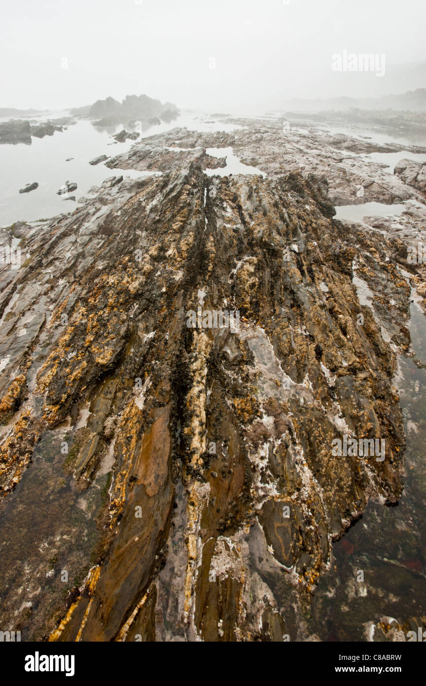 Rocky sea floor hi-res stock photography and images - Alamy