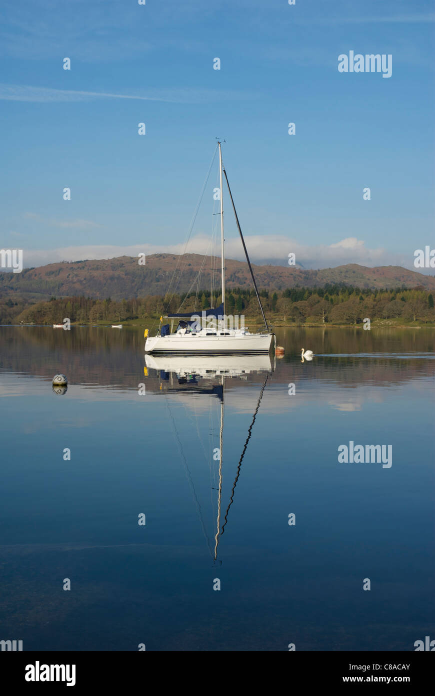 Sailing boat and swan, Lake Windermere, Lake District National Park