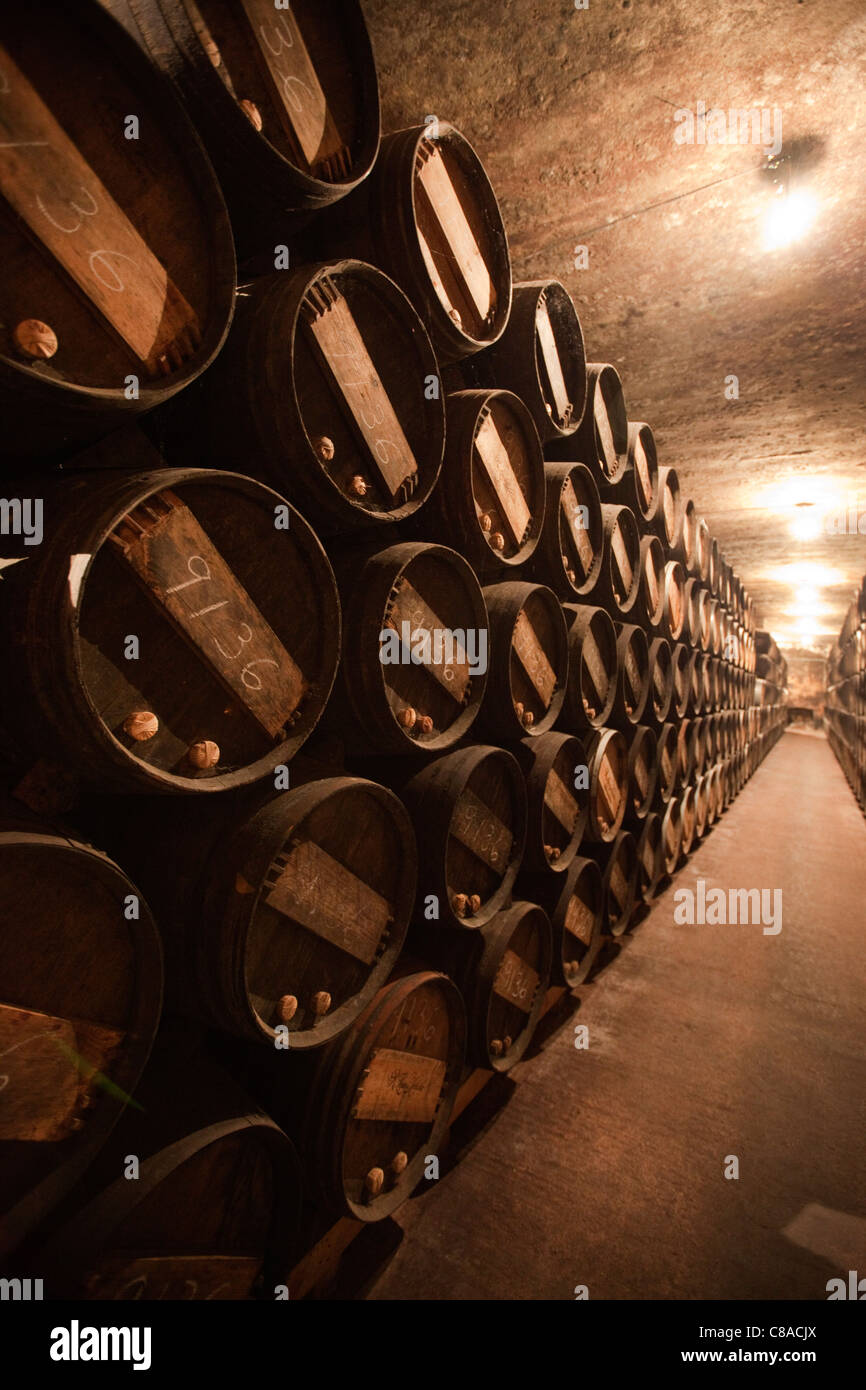 Vina Tondonia Bodega  cellars with oak barrels, in Haro La Rioja Spain 110561 Spain Stock Photo