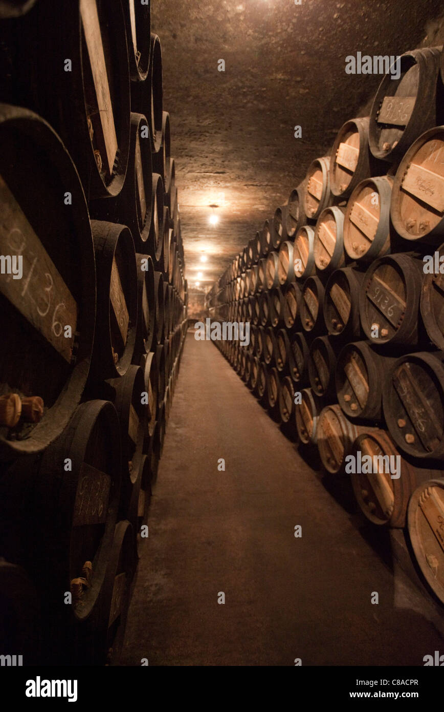 Lopez de Heredia Vina Tondonia Bodega  cellars with oak barrels, in Haro La Rioja Spain 110563 Spain Stock Photo