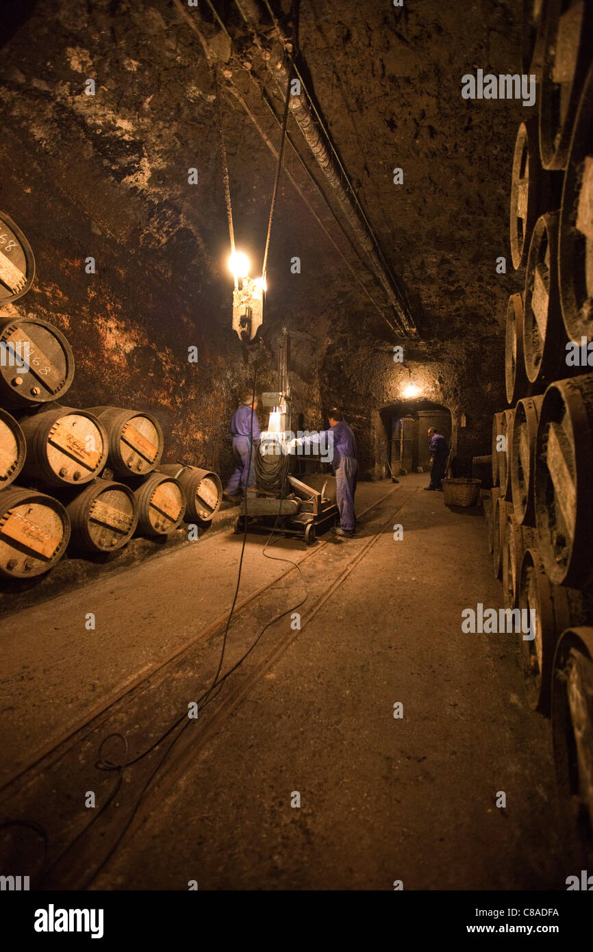Lopez de Heredia Vina Tondonia Bodega cellars with workers and oak barrels, in Haro La Rioja Spain 110582 Spain Stock Photo