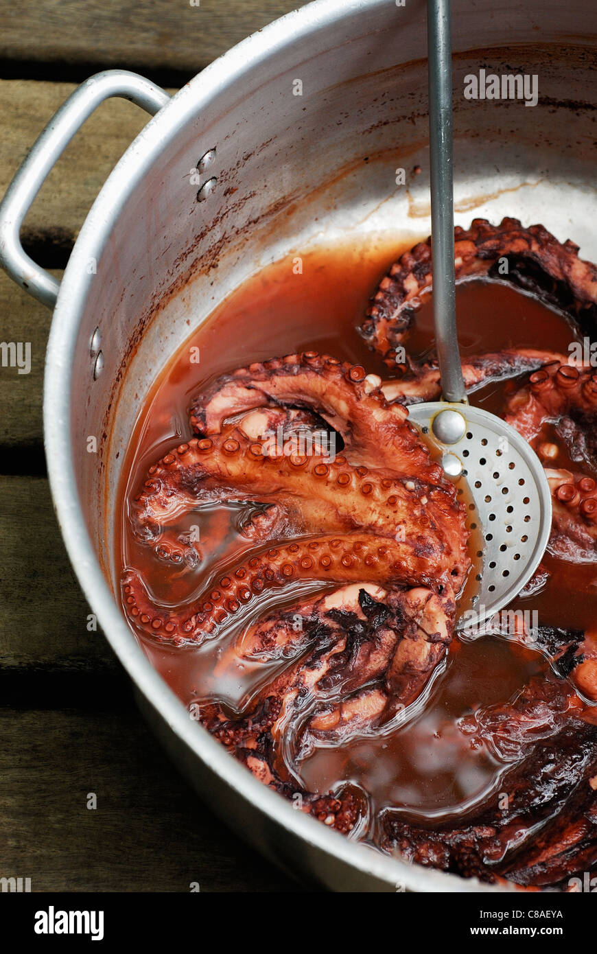 Octopus stewed in red wine Stock Photo