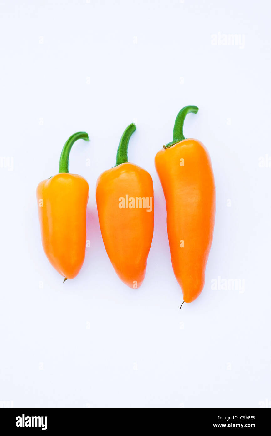 Three 'Orange baby' sweet peppers isolated on a white background Stock