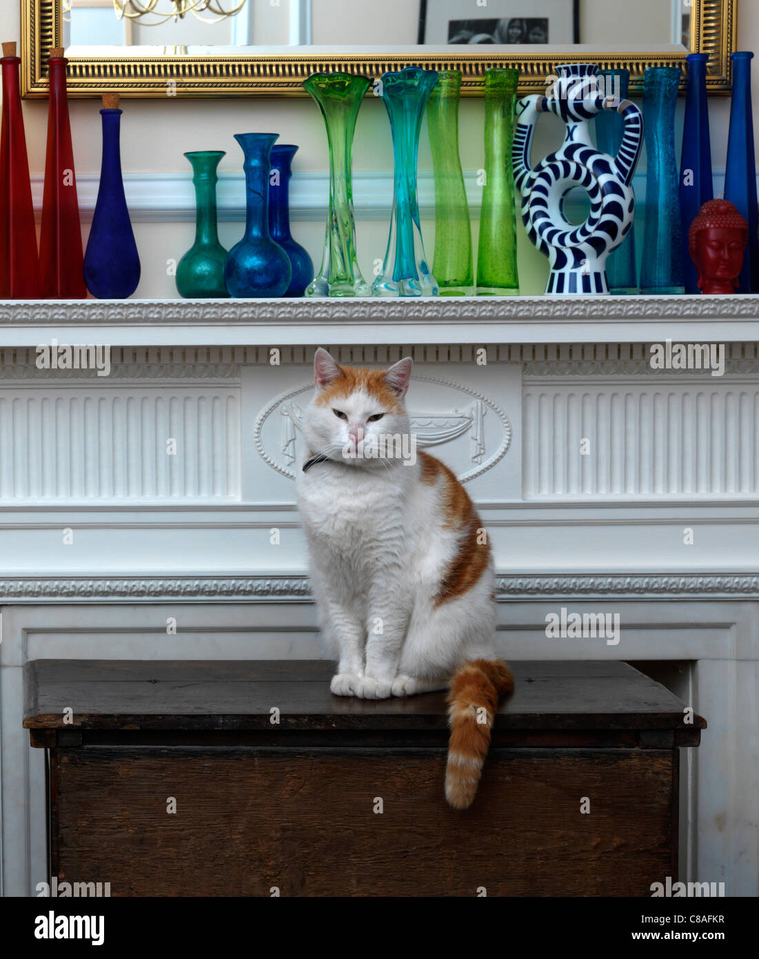 White And Ginger Tom Cat Sitting In front Of A Fire Place Stock Photo
