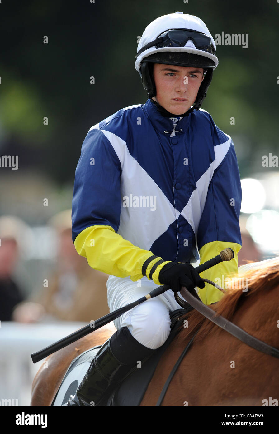 Jockey sitting on a Race Horse holding a whip Stock Photo Alamy