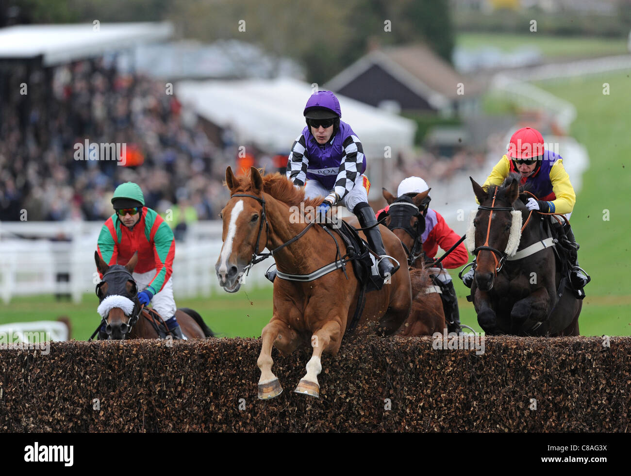 Racehorses and Jockeys in action over a jump during a Horse Race Stock