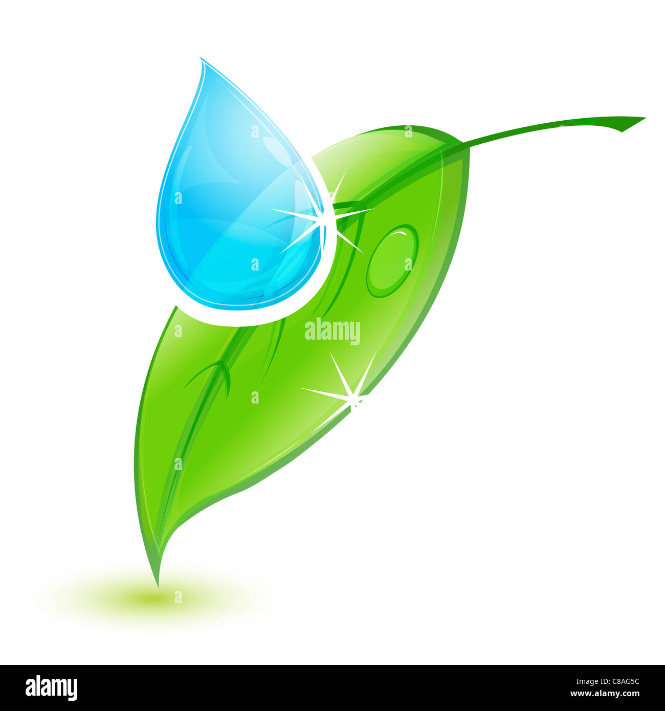 illustration of leaf with water drop on white background Stock Photo ...