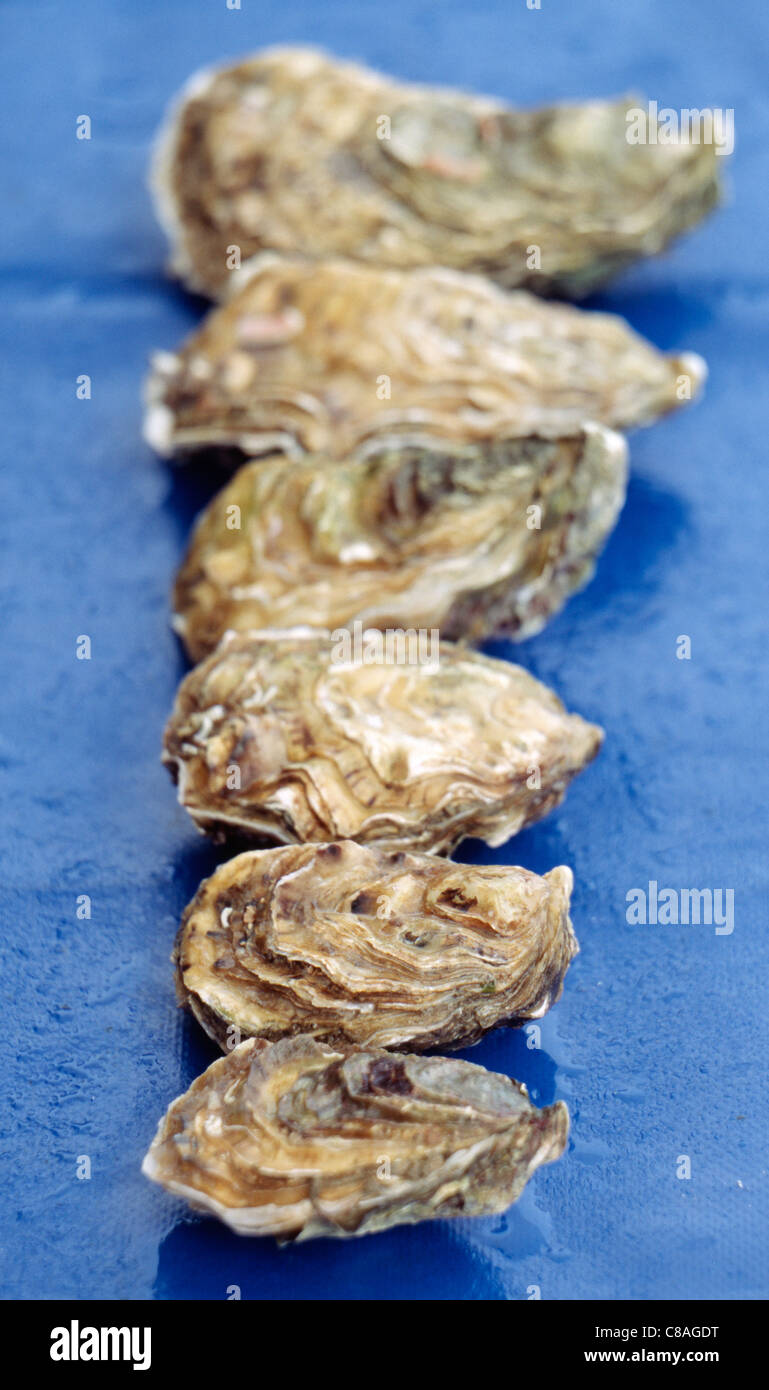 Hollow oyster hires stock photography and images Alamy