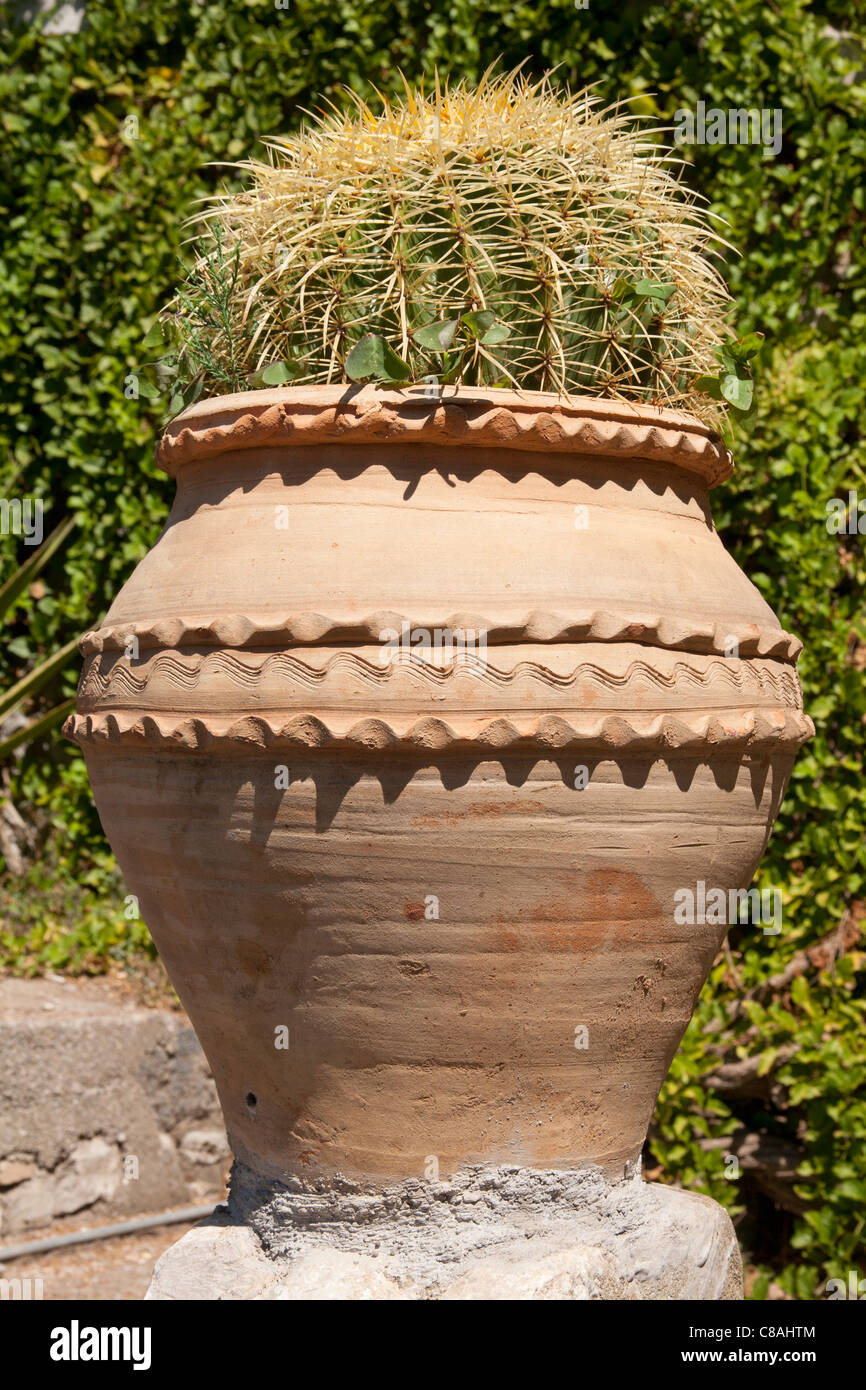 Cactus growing in pot, Trevelyan Public Gardens, Villa Comunale, Via Bagnoli Croce, Taormina, Sicily, Italy Stock Photo