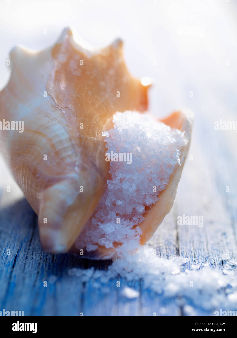 Sea salt in a shell Stock Photo