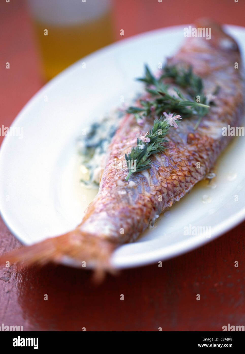 Roast red mullet with rosemary Stock Photo Alamy