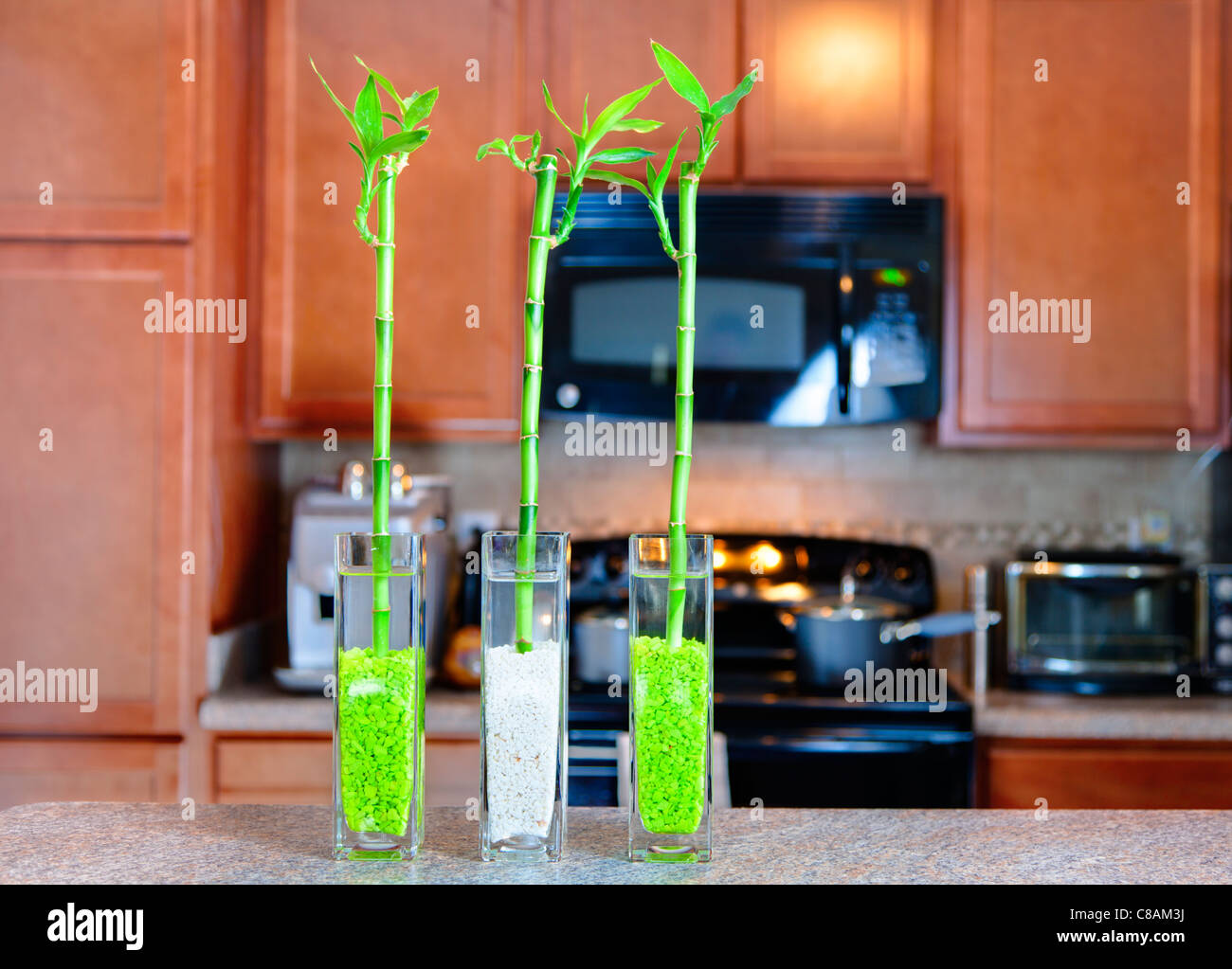 Lucky bamboo plants in the kitchen Stock Photo - Alamy