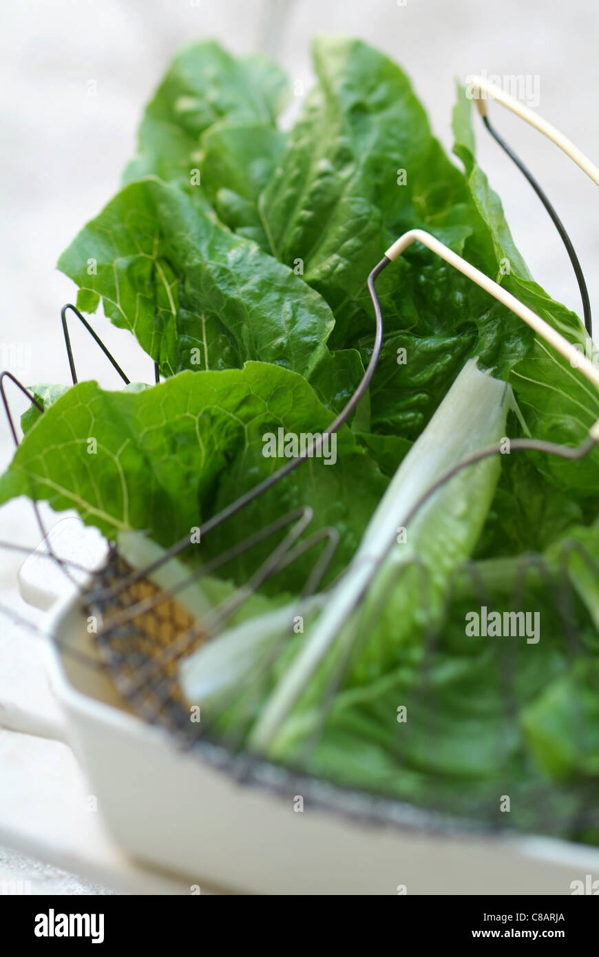 Cos lettuce in a salad basket Stock Photo