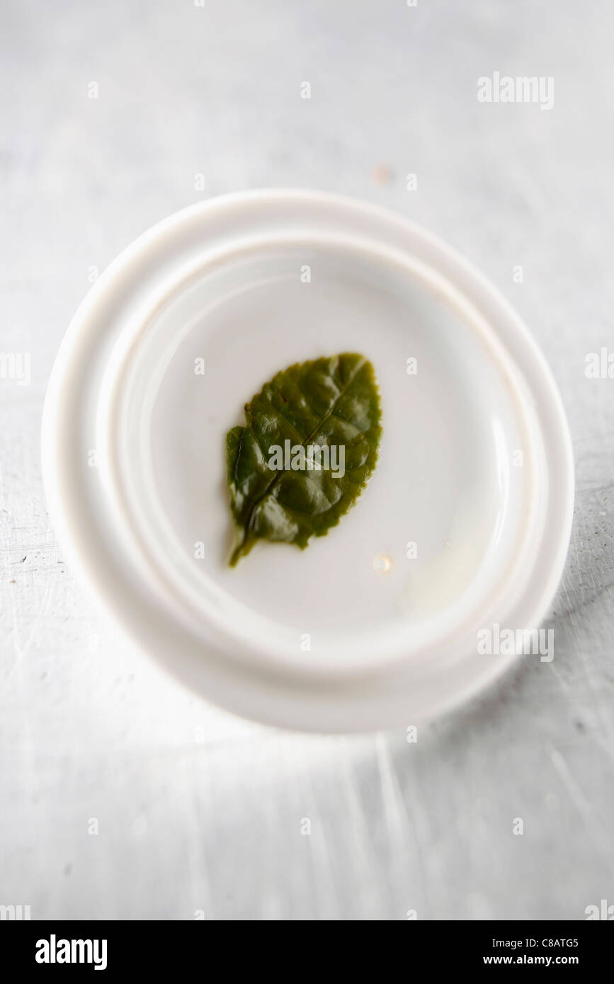 Tea leaf on the lid of a teapot Stock Photo