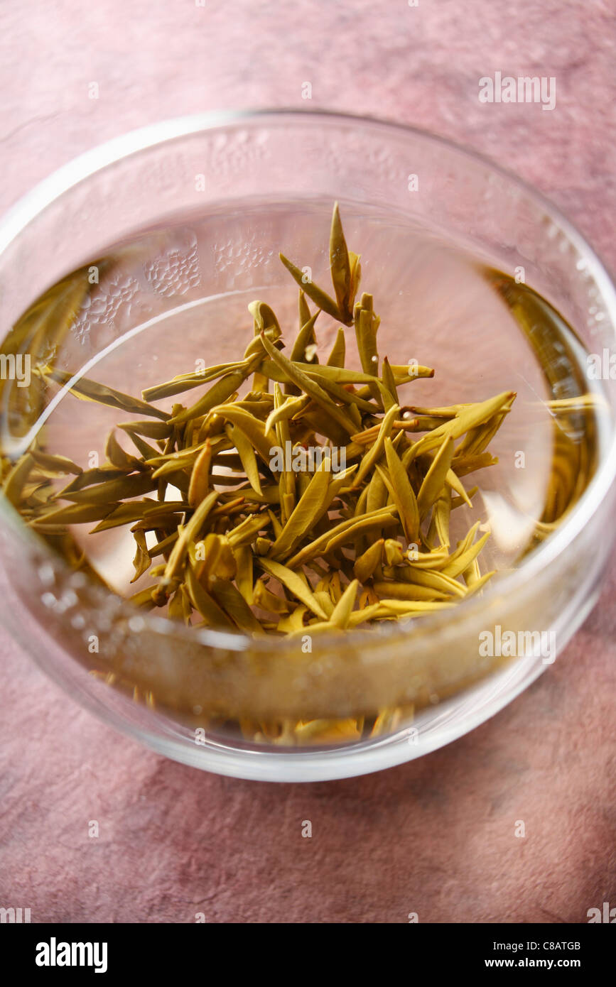 Yellow tea infusion Stock Photo - Alamy