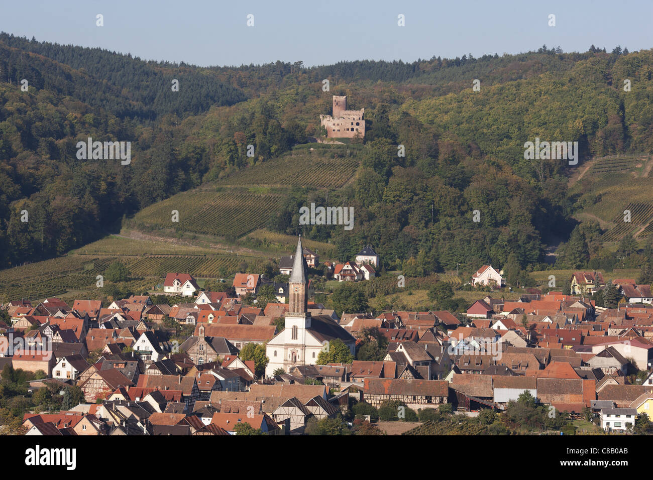 AERIAL VIEW. The castle and village of Kintzheim on the eastern Vosges foothills. Bas-Rhin, Alsace, Grand Est, France. Stock Photo