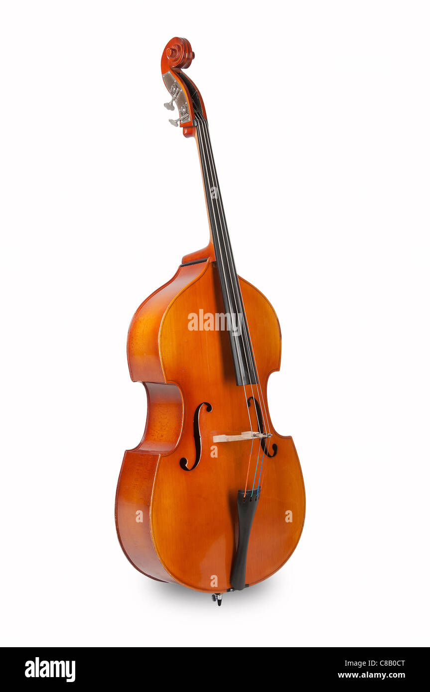 double bass on a white background, Stock Photo
