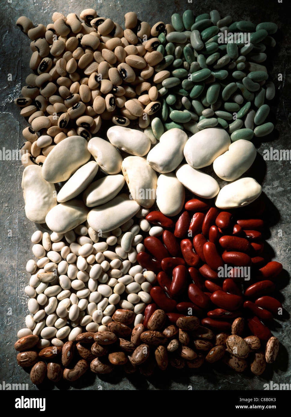 Selection of dry shell beans Stock Photo Alamy