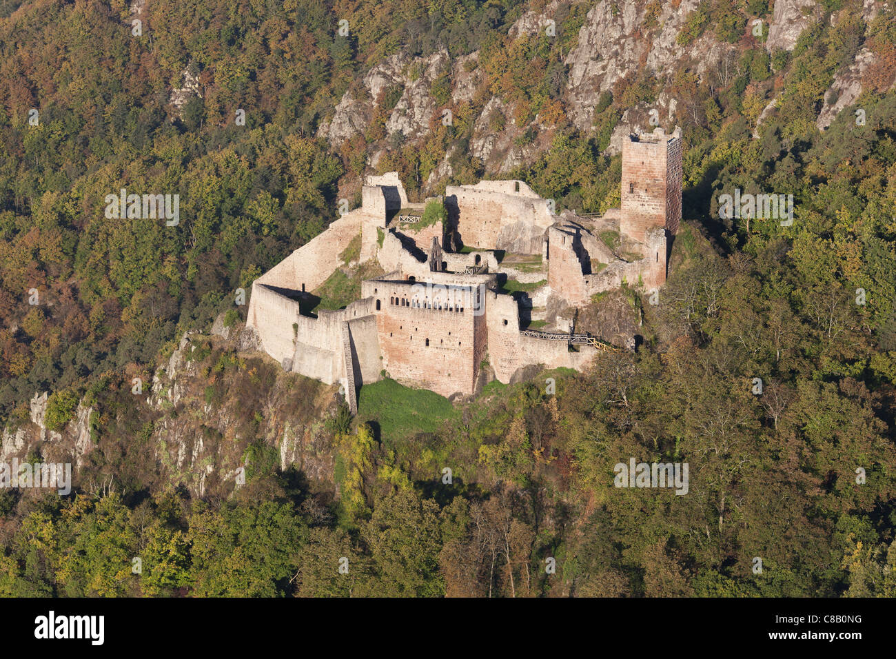 AERIAL VIEW. Ruins of Saint-Ulrich Castle on the Vosges Mountains. Ribeauvillé, Haut-Rhin, Alsace, Grand Est, France. Stock Photo