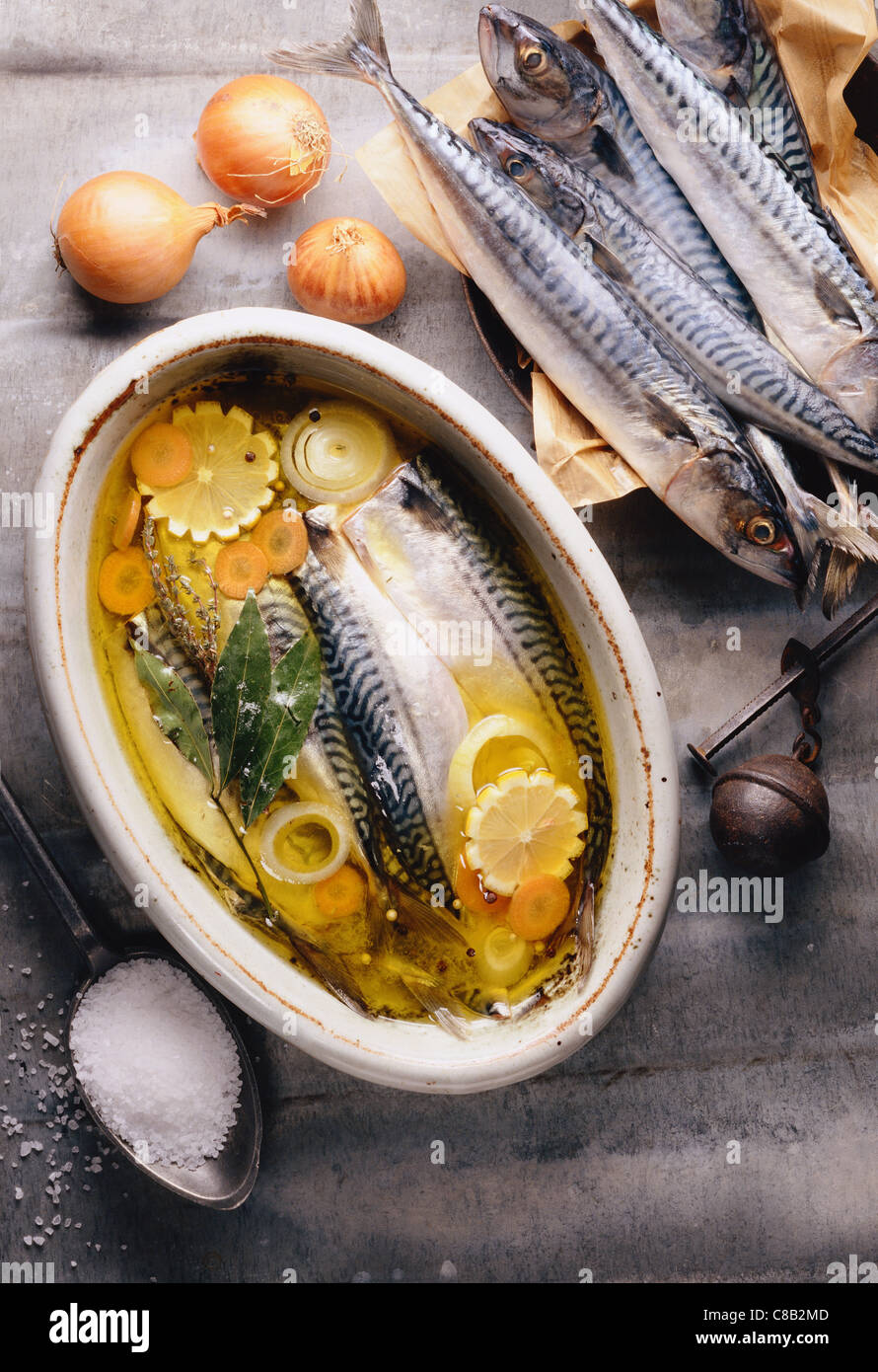 mackerel in olive oil Stock Photo Alamy