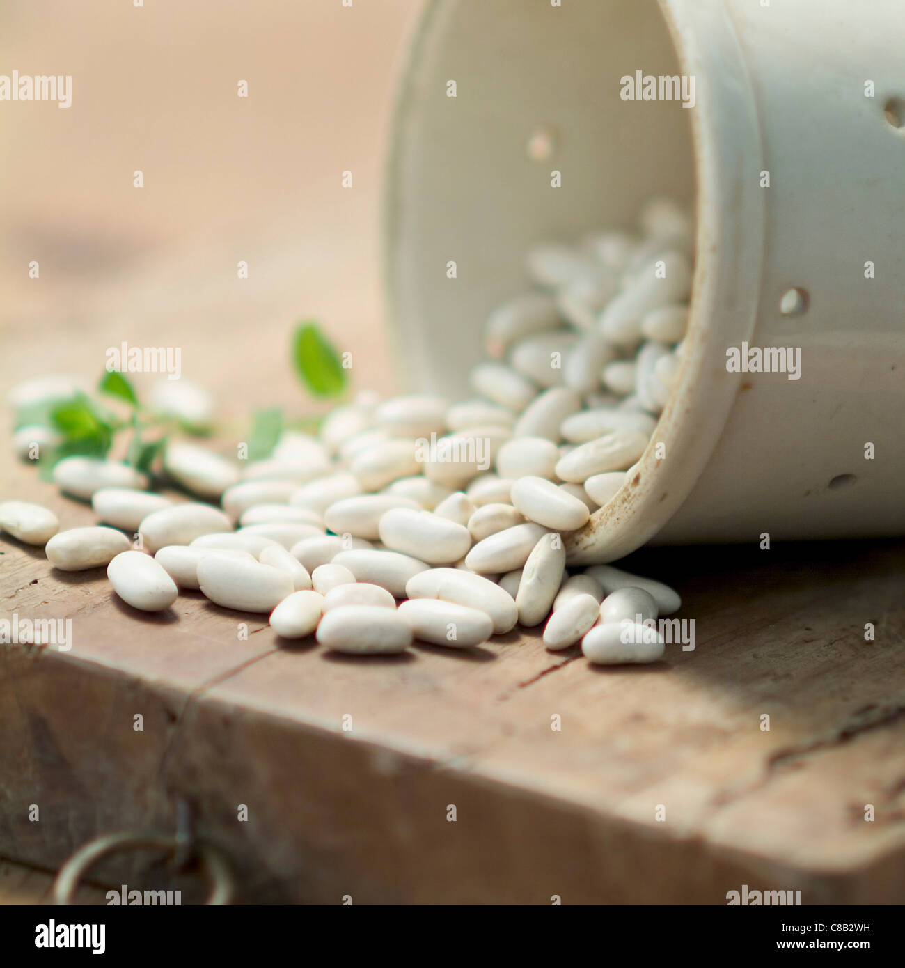 White coco beans Stock Photo