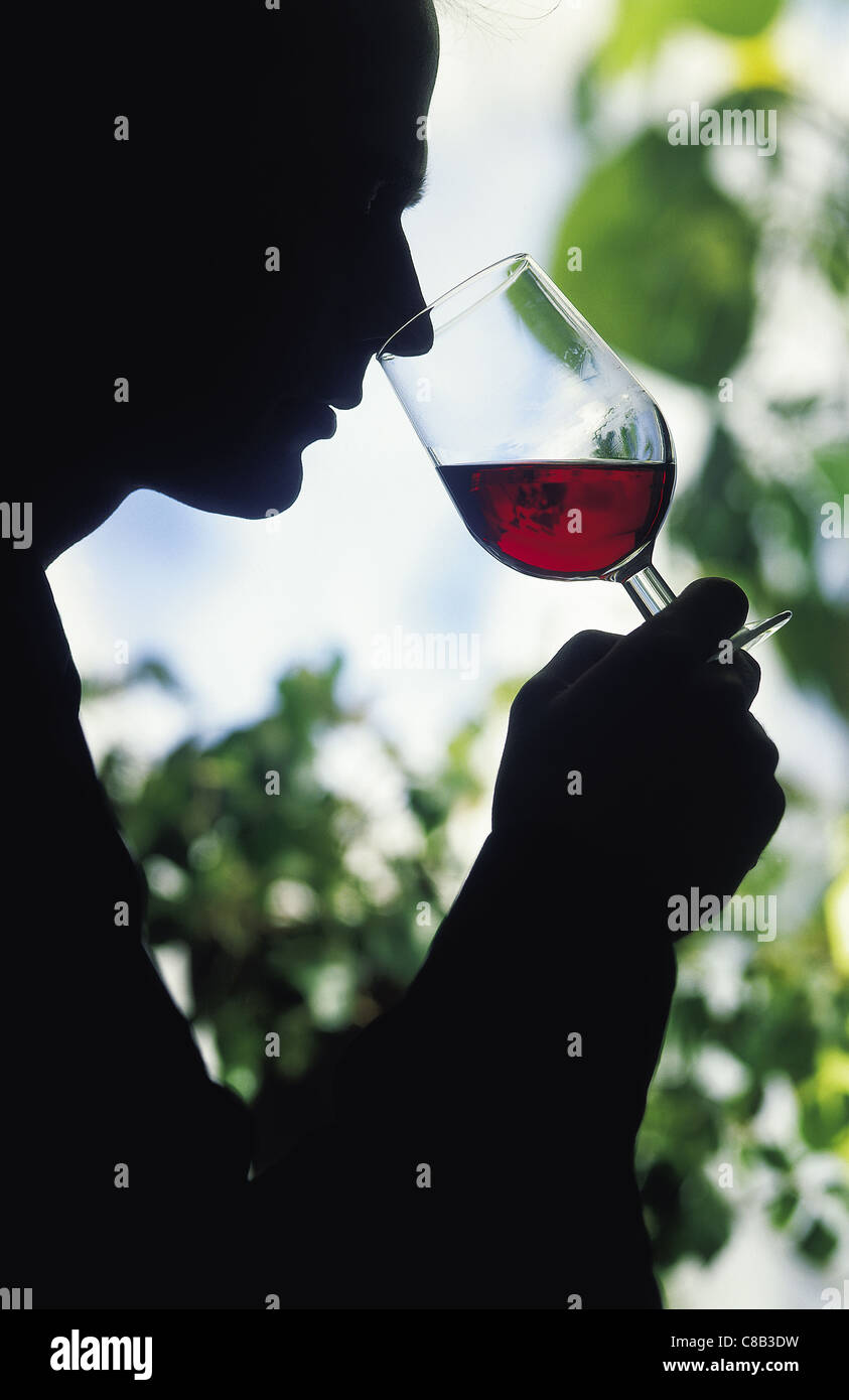 tasting and smelling wine Stock Photo Alamy