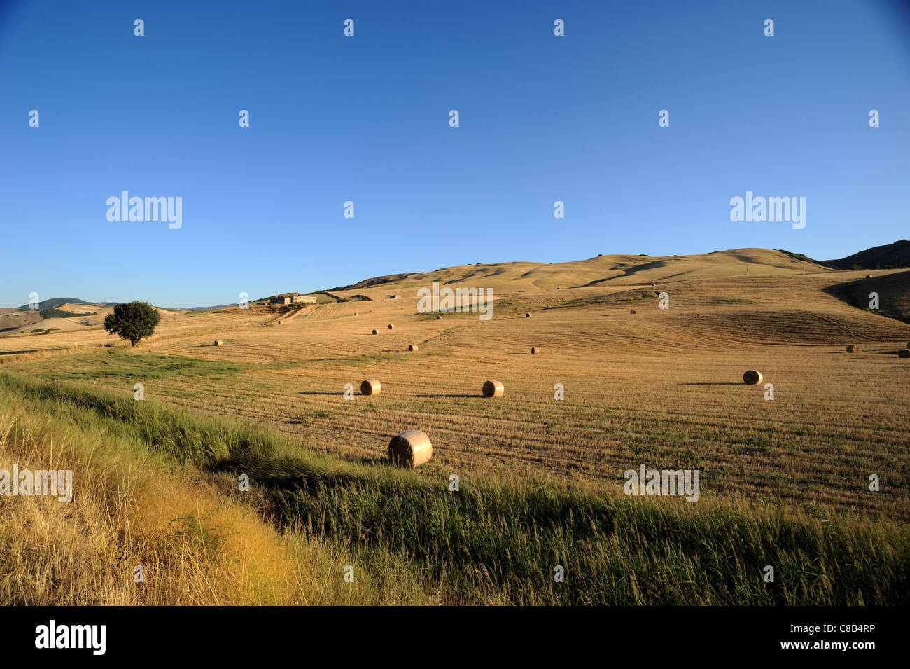 Sauro italy hires stock photography and images Alamy