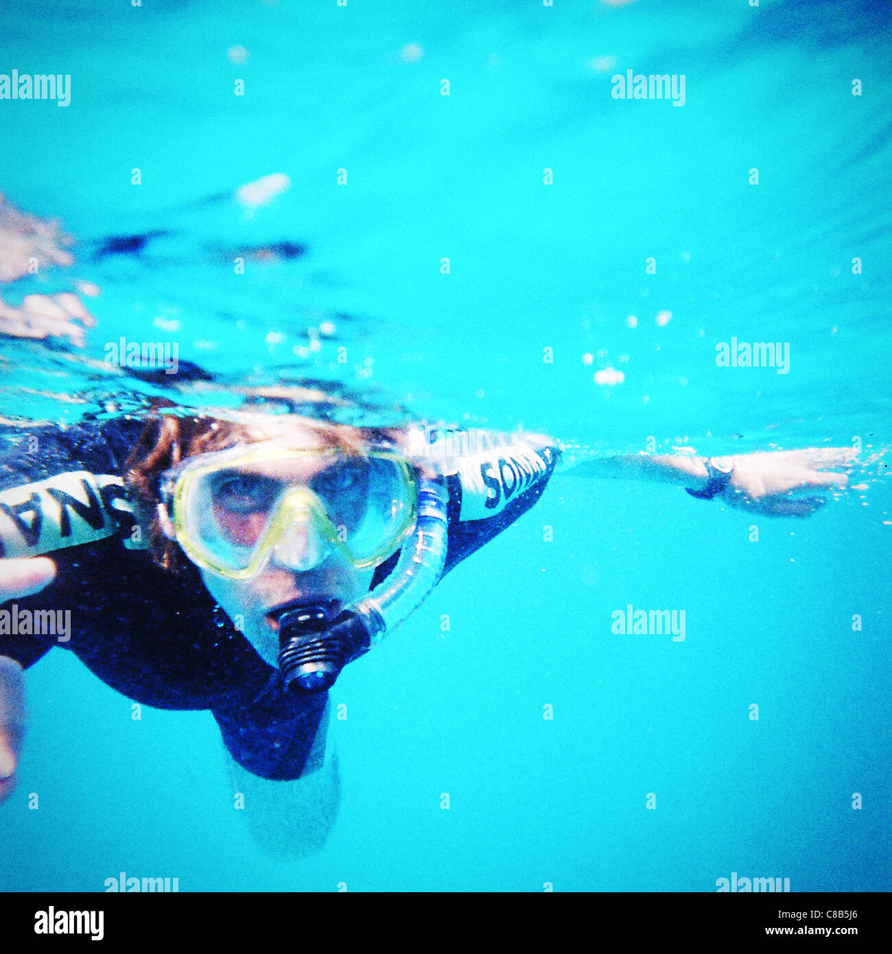 Man snorkeling in the Great Barrier Reef, Australia Stock Photo Alamy