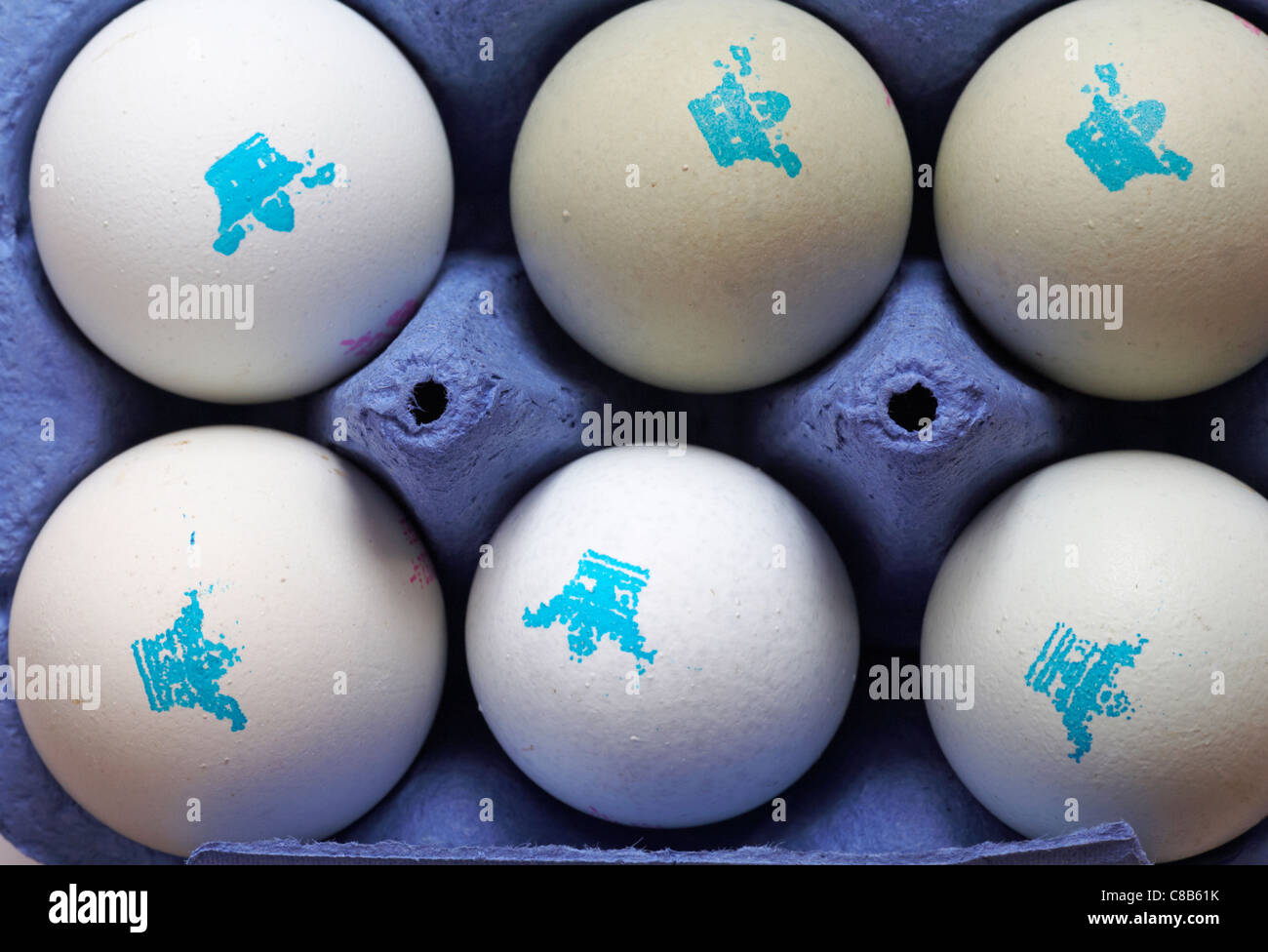 Clarence Court Old Cotswold Legbar 6 Free Range eggs with pastel