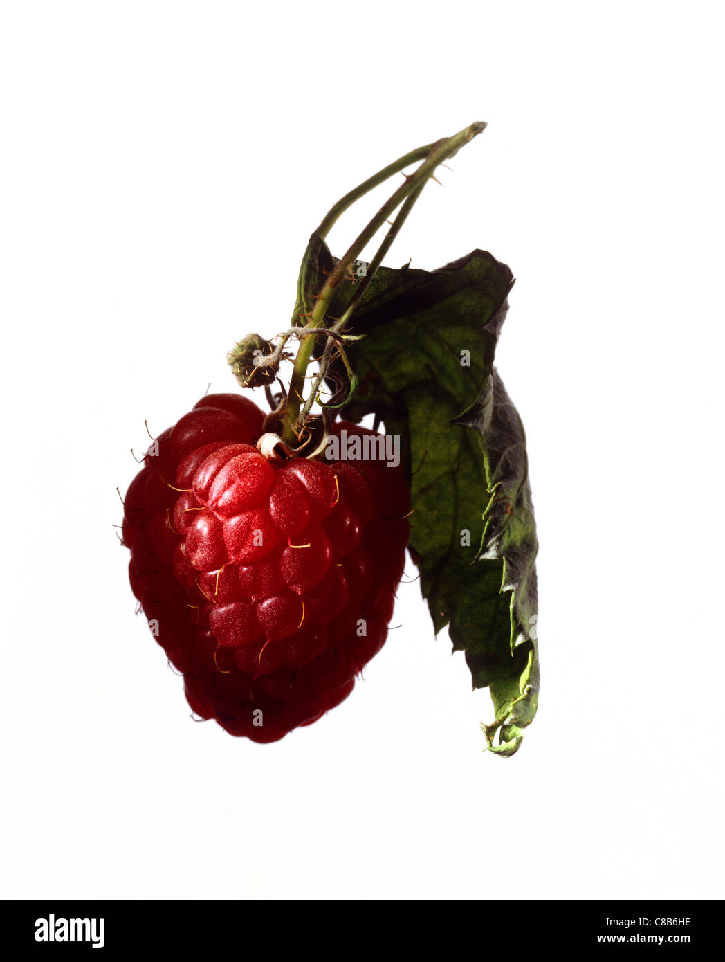 Exploded Raspberry Stock Photo Raspberry design hi-res stock photography and images - Alamy