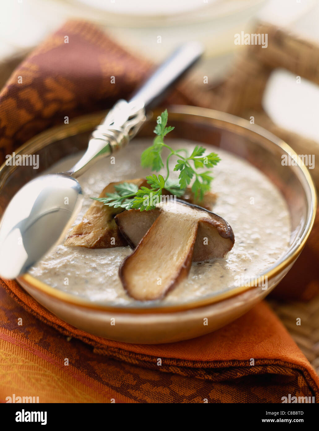 Cream of mushroom consommé soup Stock Photo Alamy
