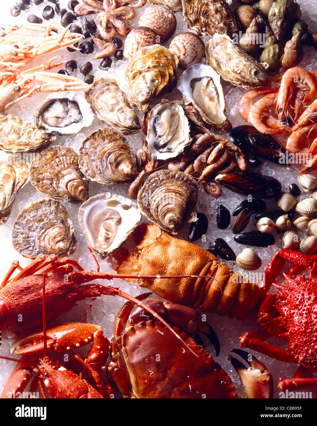 shellfish and seafood Stock Photo Alamy