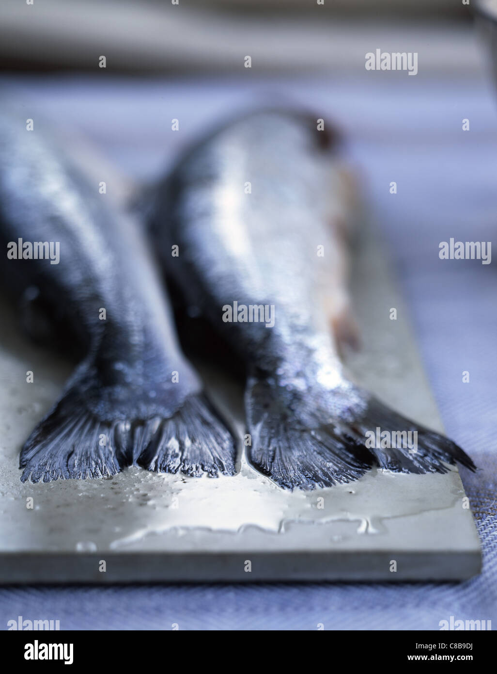 Salmon tails Stock Photo