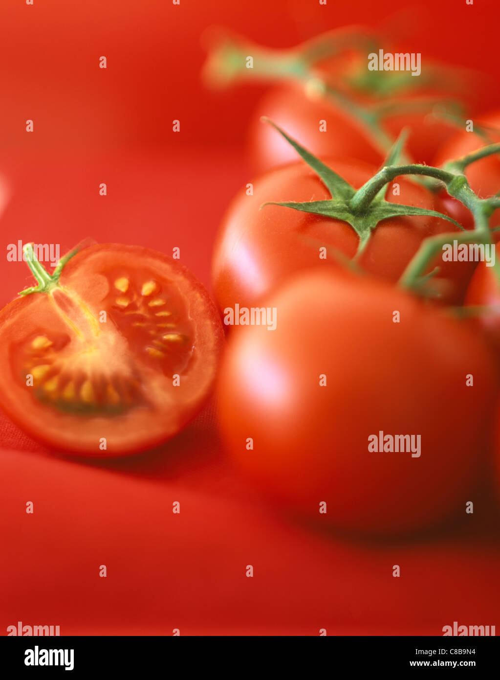 Stem tomatoes Stock Photo