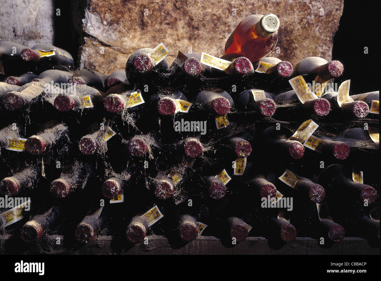 galician albarino wine and basque txakoli wine in cellar Stock Photo